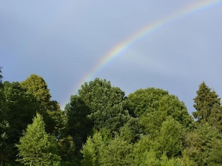 Vakantiehuisje Stavelot Omgeving 36