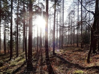 Vakantiehuisje Stavelot Omgeving 36