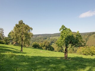 Casa de vacaciones Stavelot Entorno 36