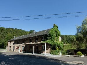 Ferienhaus Geräumiges Haus in Borgoumont mit Jacuzzi und großem Garten - Stoumont - image1