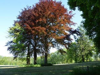 Casa per le vacanze Stoumont Ambiente 36