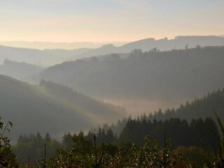 Holiday house Stoumont Environment 30