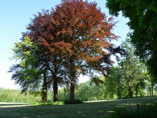 Vakantiehuis Stoumont Omgeving 36