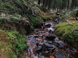 Casa per le vacanze Stoumont Ambiente 34