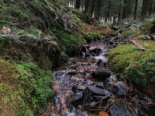 Holiday house Stoumont Environment 34