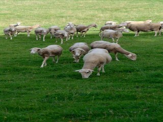 Ferienhaus Stoumont Umgebung 28