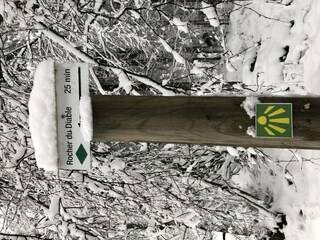 Vakantiehuisje Lierneux Omgeving 24