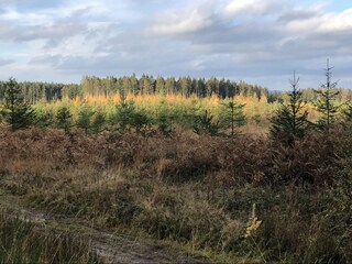 Casa vacanze Lierneux Ambiente 38