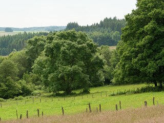 Casa vacanze Lierneux Ambiente 20