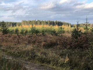 Casa vacanze Lierneux Ambiente 36