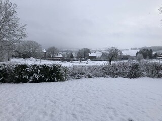 Cottage Lierneux  41