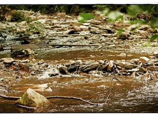 Cottage Lierneux Umgebung 24