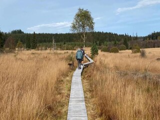 Vakantiehuisje Lierneux Omgeving 31
