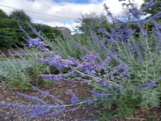 Casa vacanze Lierneux Ambiente 35