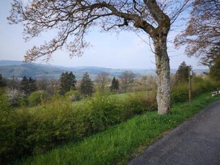 Cottage Lierneux Umgebung 33