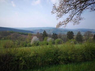 Holiday cottage Lierneux Environment 35