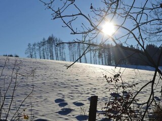 Cottage Lierneux Umgebung 32