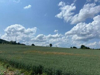 Cottage Lierneux Umgebung 37