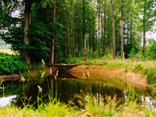 Holiday house Lierneux Environment 30