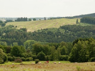 Cottage Lierneux Umgebung 34