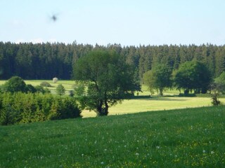 Cottage Lierneux Umgebung 36