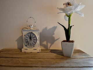 Ferienhaus Havelange  40