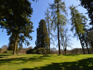 Holiday house Havelange Outdoor Recording 4