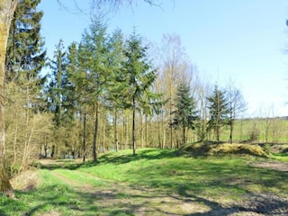 Ferienhaus Havelange Umgebung 38