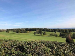 Maison de vacances Havelange Environnement 29