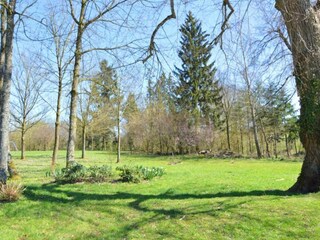 Vakantiehuisje Havelange Omgeving 37