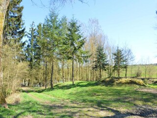 Vakantiehuisje Havelange Omgeving 40