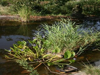 Holiday cottage Havelange Environment 36