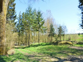 Vakantiehuisje Havelange Omgeving 37