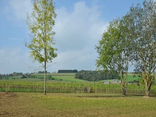 Ferienhaus Somme-Leuze Außenaufnahme 5