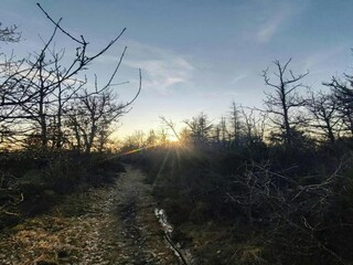 Ferienhaus Somme-Leuze Umgebung 38