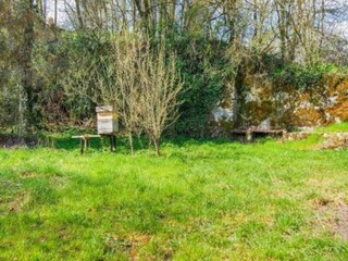 Holiday house Somme-Leuze Environment 31