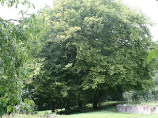 Vakantiehuis Maredret Omgeving 29