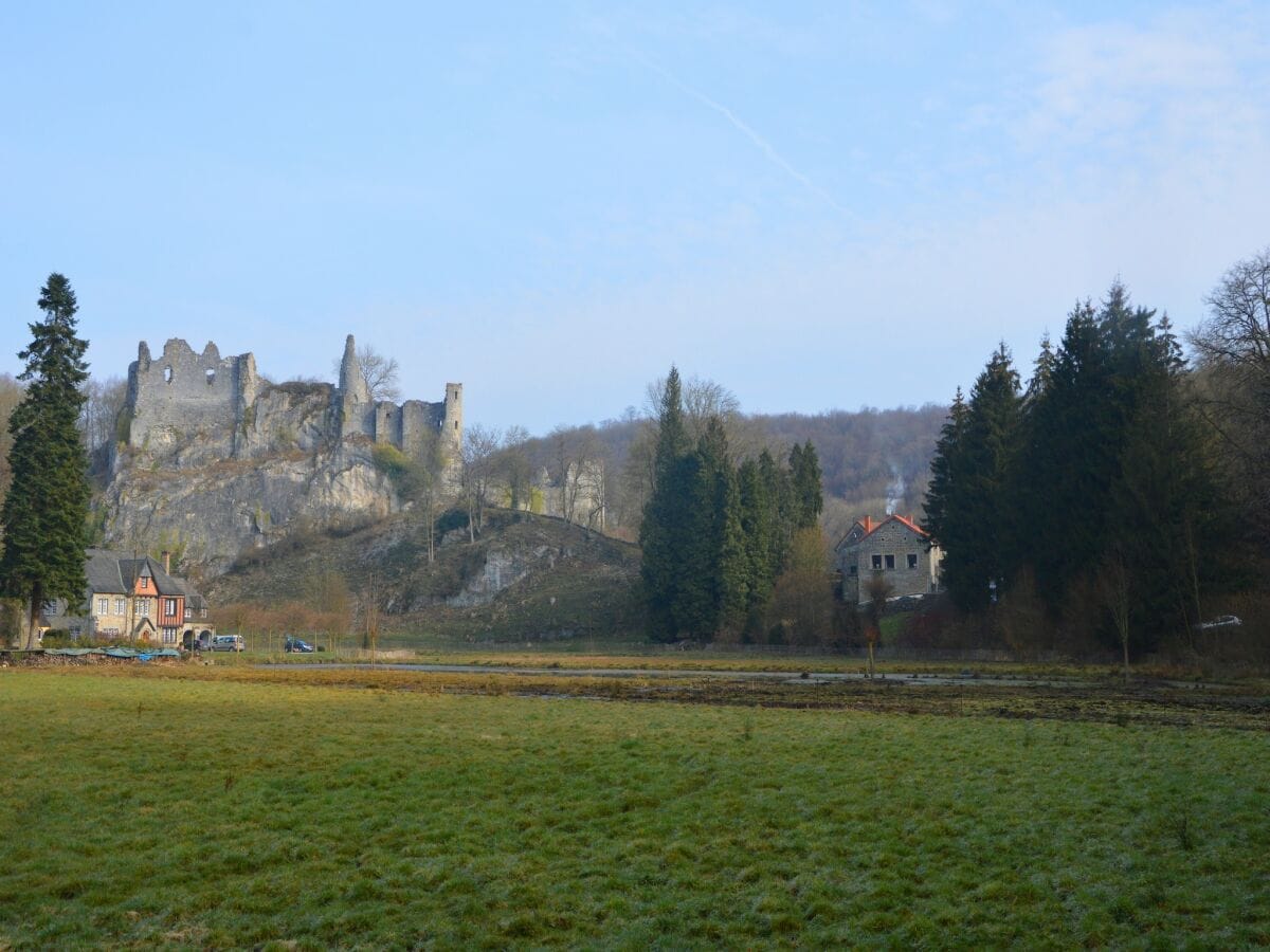 Ferienhaus Maredret Außenaufnahme 10