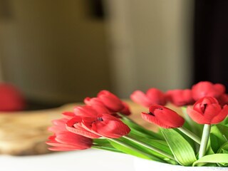 Landhaus Hastière  38