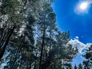 Vakantiehuisje Hastière Omgeving 33