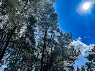 Type de propriété : Chalet Hastière Environnement 30