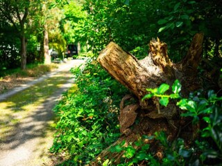 Casale Hastière Ambiente 33