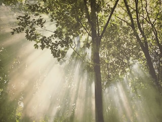 Cottage Hastière Environment 32