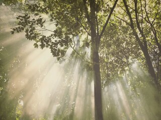 Type de propriété : Chalet Hastière Environnement 32
