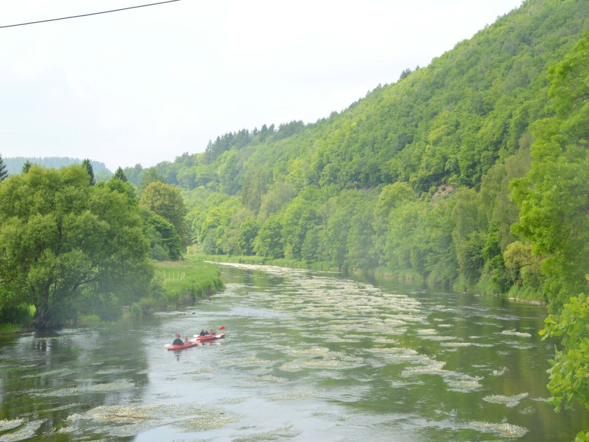 Cottage Vresse-sur-Semois Umgebung 35