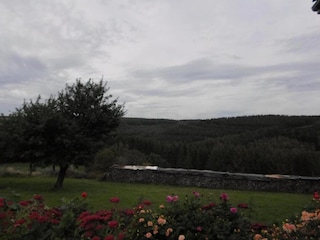 Cottage Vresse-sur-Semois Umgebung 40