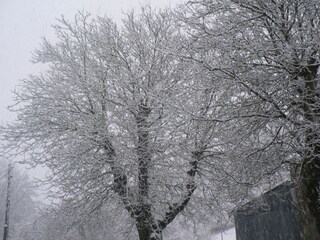 Casa vacanze Bièvre Registrazione all'aperto 9