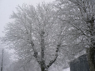 Cottage Bièvre Außenaufnahme 4