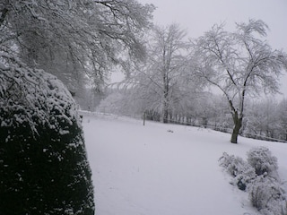 Vakantiehuisje Bièvre Buitenaudio-opname 10