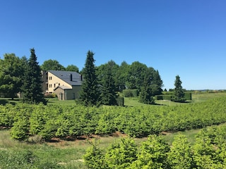 Apartment Vresse-sur-Semois Außenaufnahme 15